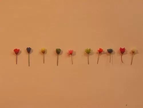 Real Mini Roses