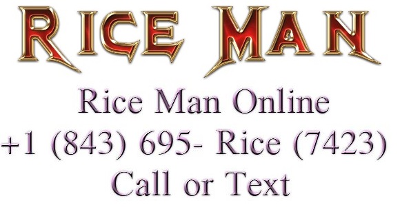 Rice Man Online